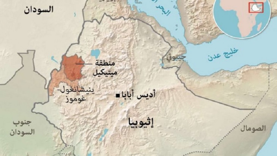 جماعة مسلحة تسيطر على منطقة إثيوبية